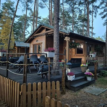 Dzik W Zagrodzie Hotell Borsk Exteriör bild