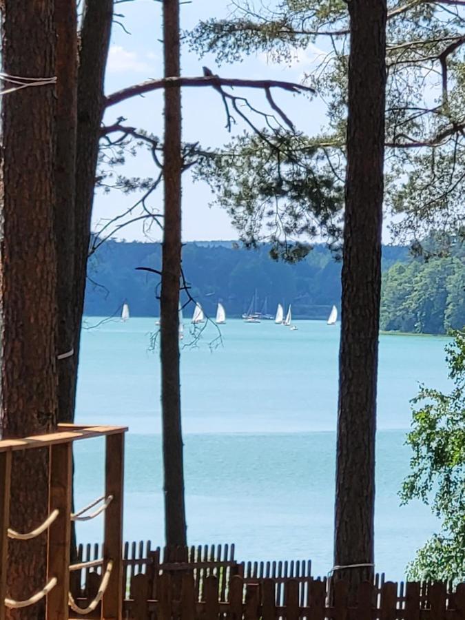 Dzik W Zagrodzie Hotell Borsk Exteriör bild