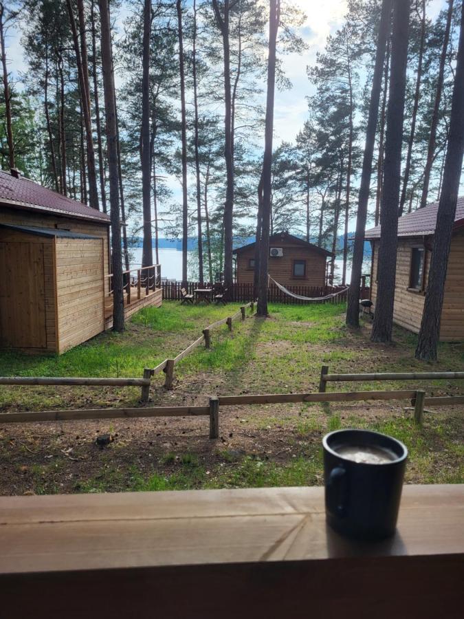 Dzik W Zagrodzie Hotell Borsk Exteriör bild