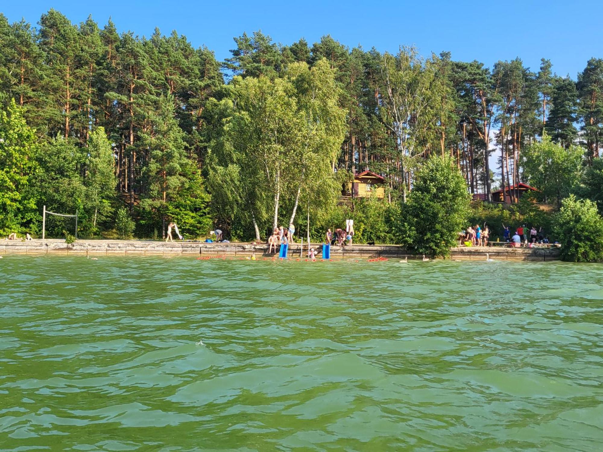 Dzik W Zagrodzie Hotell Borsk Exteriör bild