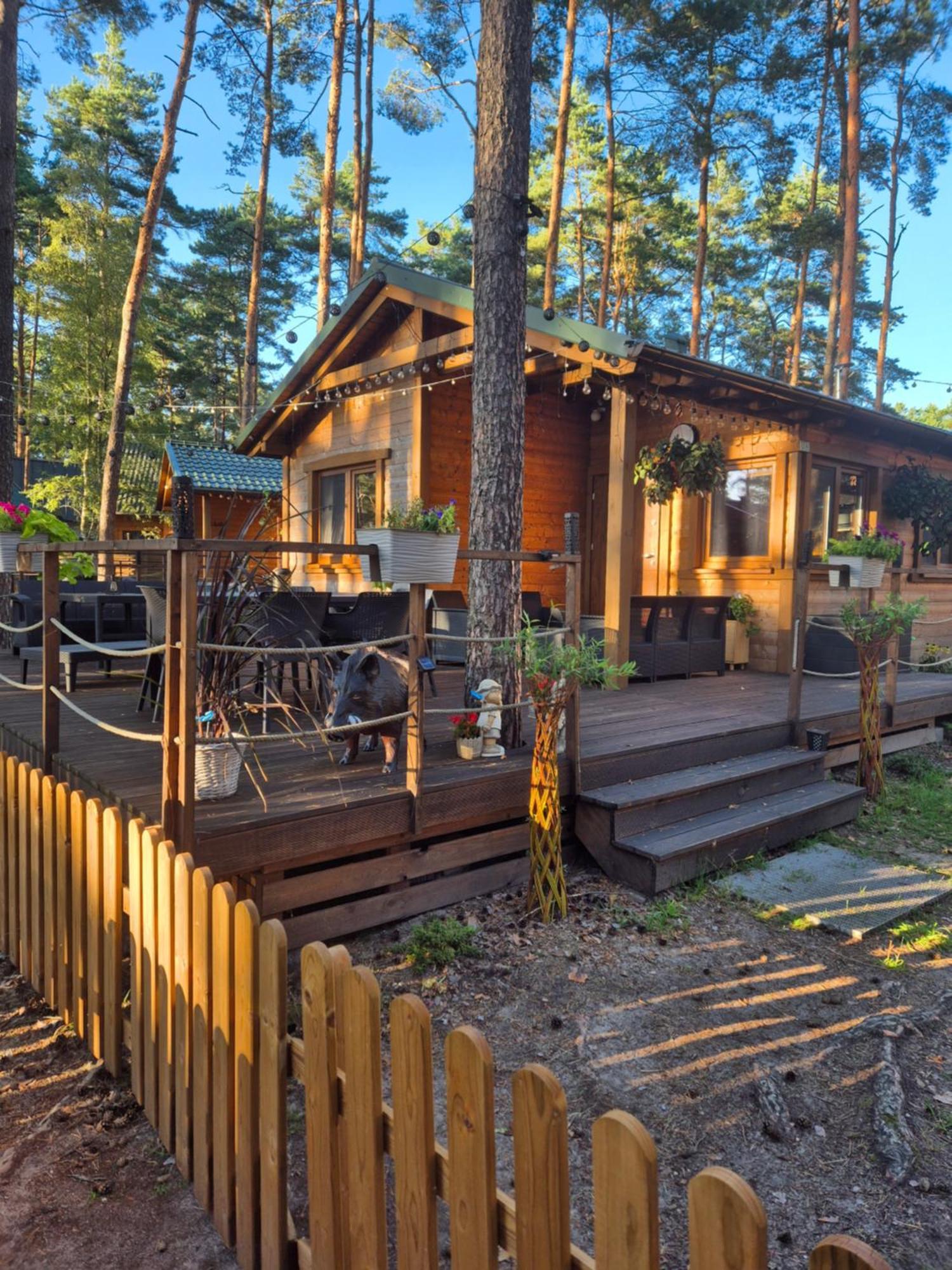 Dzik W Zagrodzie Hotell Borsk Exteriör bild