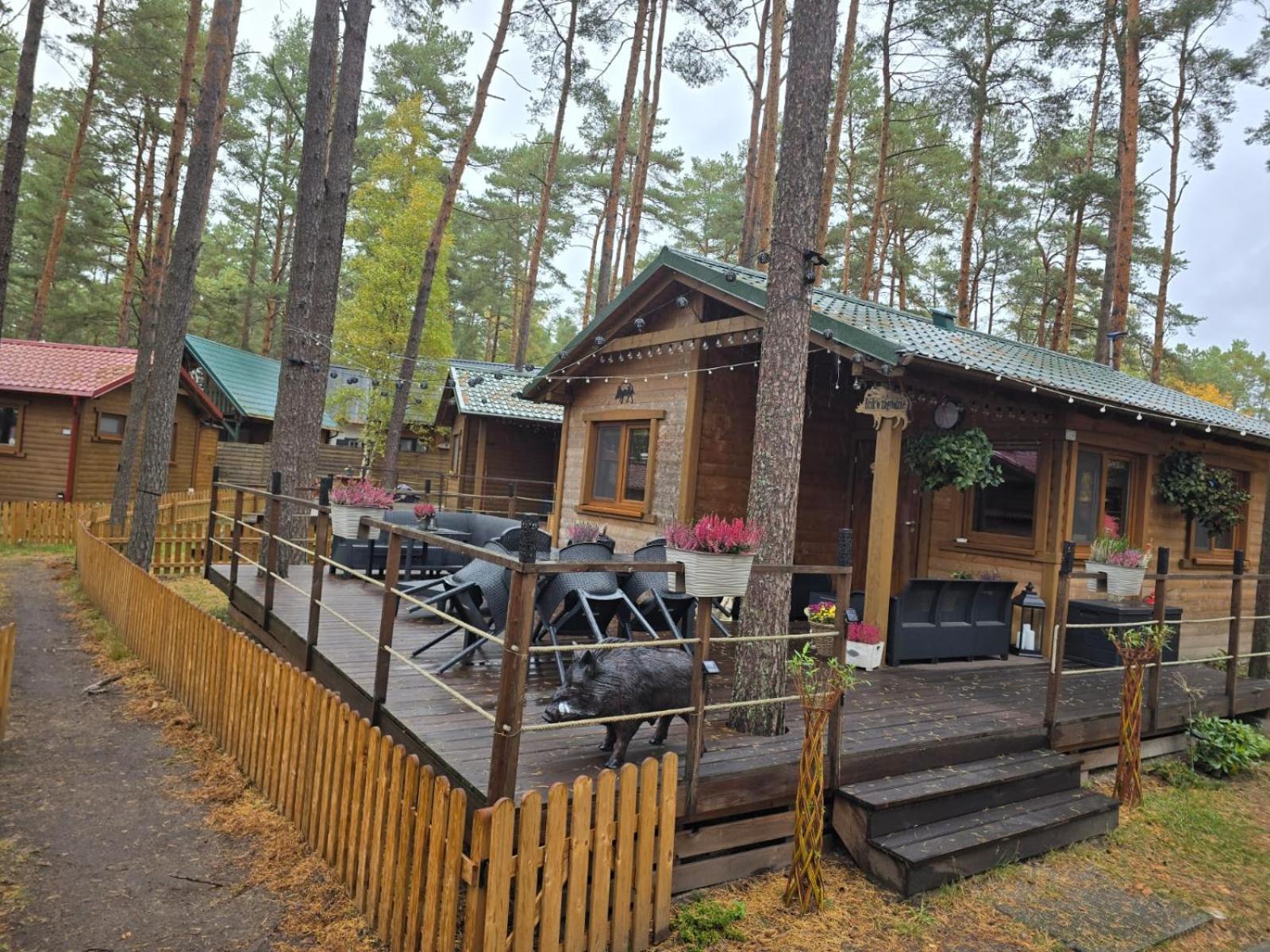 Dzik W Zagrodzie Hotell Borsk Exteriör bild