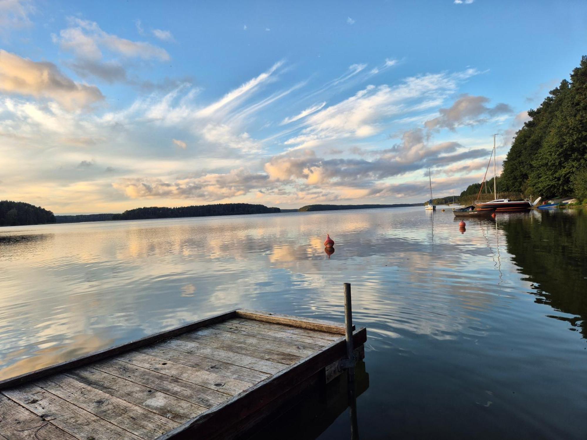 Dzik W Zagrodzie Hotell Borsk Exteriör bild