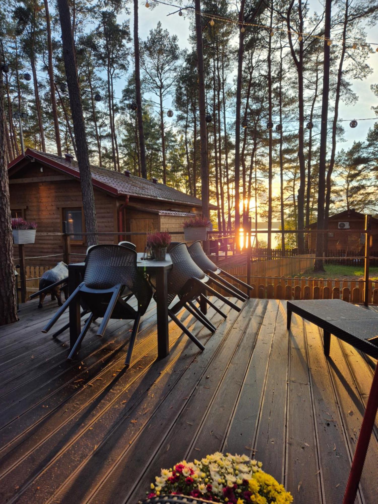 Dzik W Zagrodzie Hotell Borsk Exteriör bild