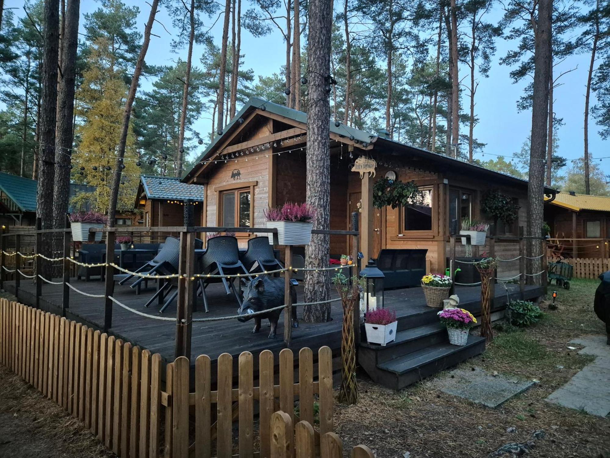 Dzik W Zagrodzie Hotell Borsk Exteriör bild